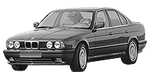 BMW E34 P171C Fault Code